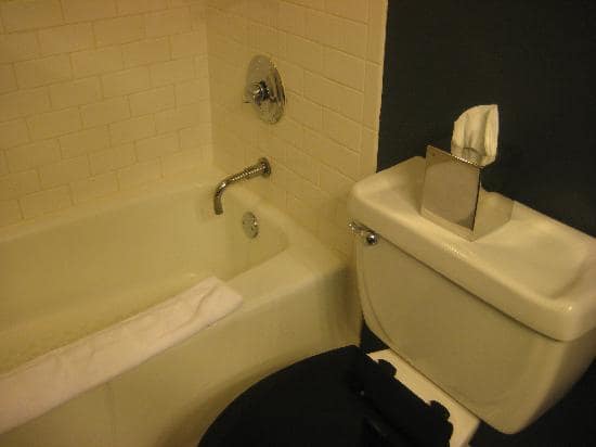 tub-and-toilet-small